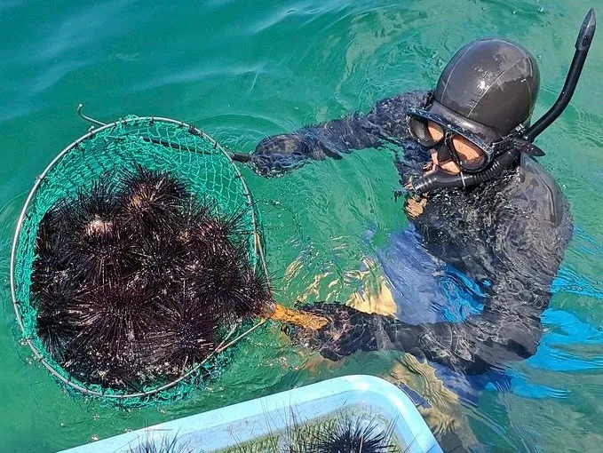 トークセッション / 五島列島の海の風景